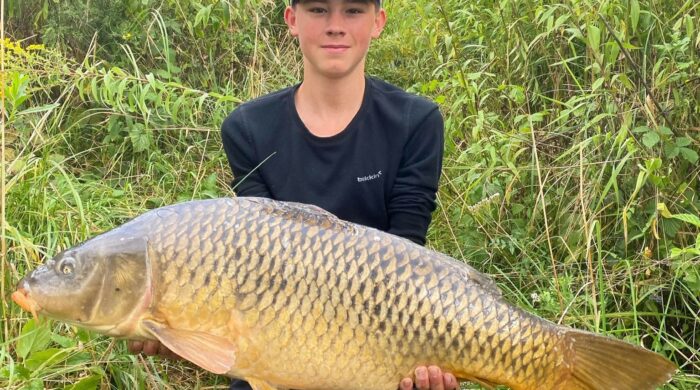 IMG-20260207-WA0010cc